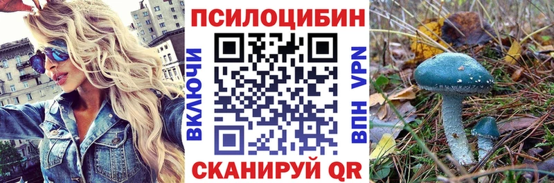 MEGA ССЫЛКА  Черепаново  Псилоцибиновые грибы GOLDEN TEACHER 